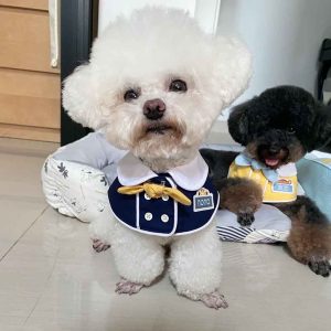 Pampered Paws: Stylish and Embroidered Pet Bib，Custom Personalized Gift for New Dog
